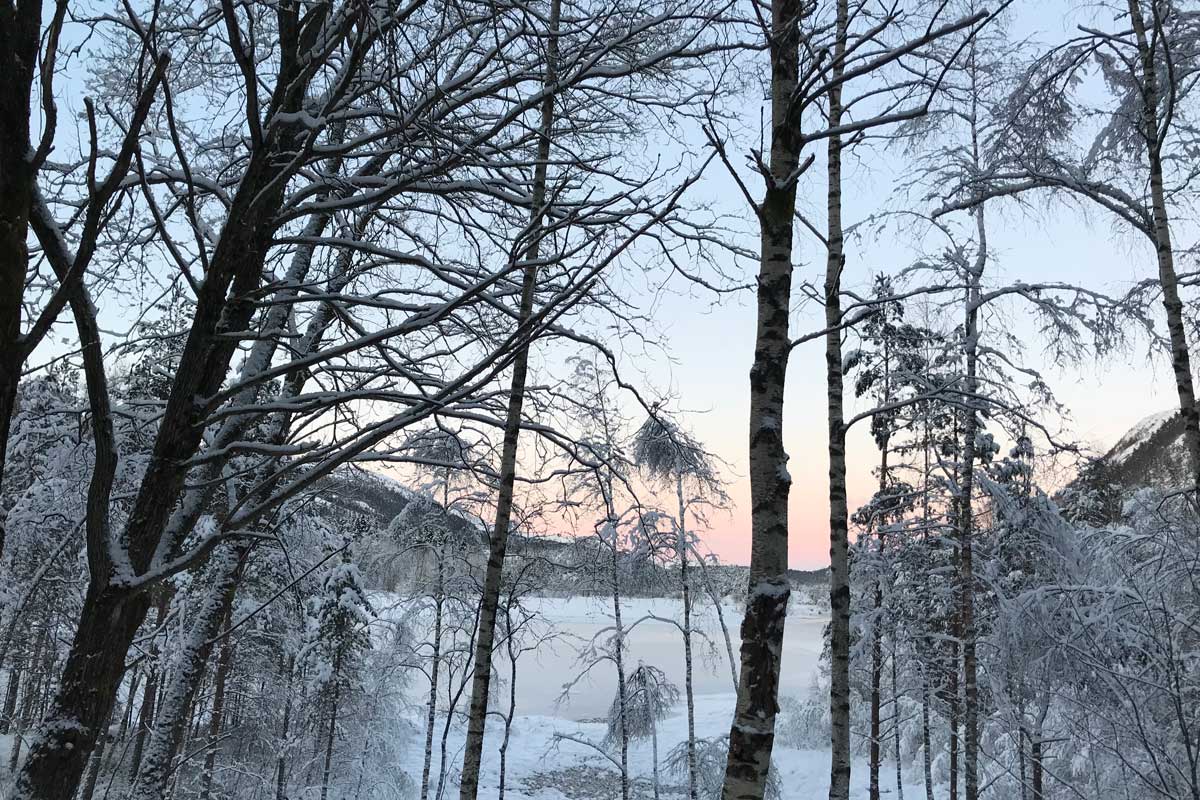 Vinter
