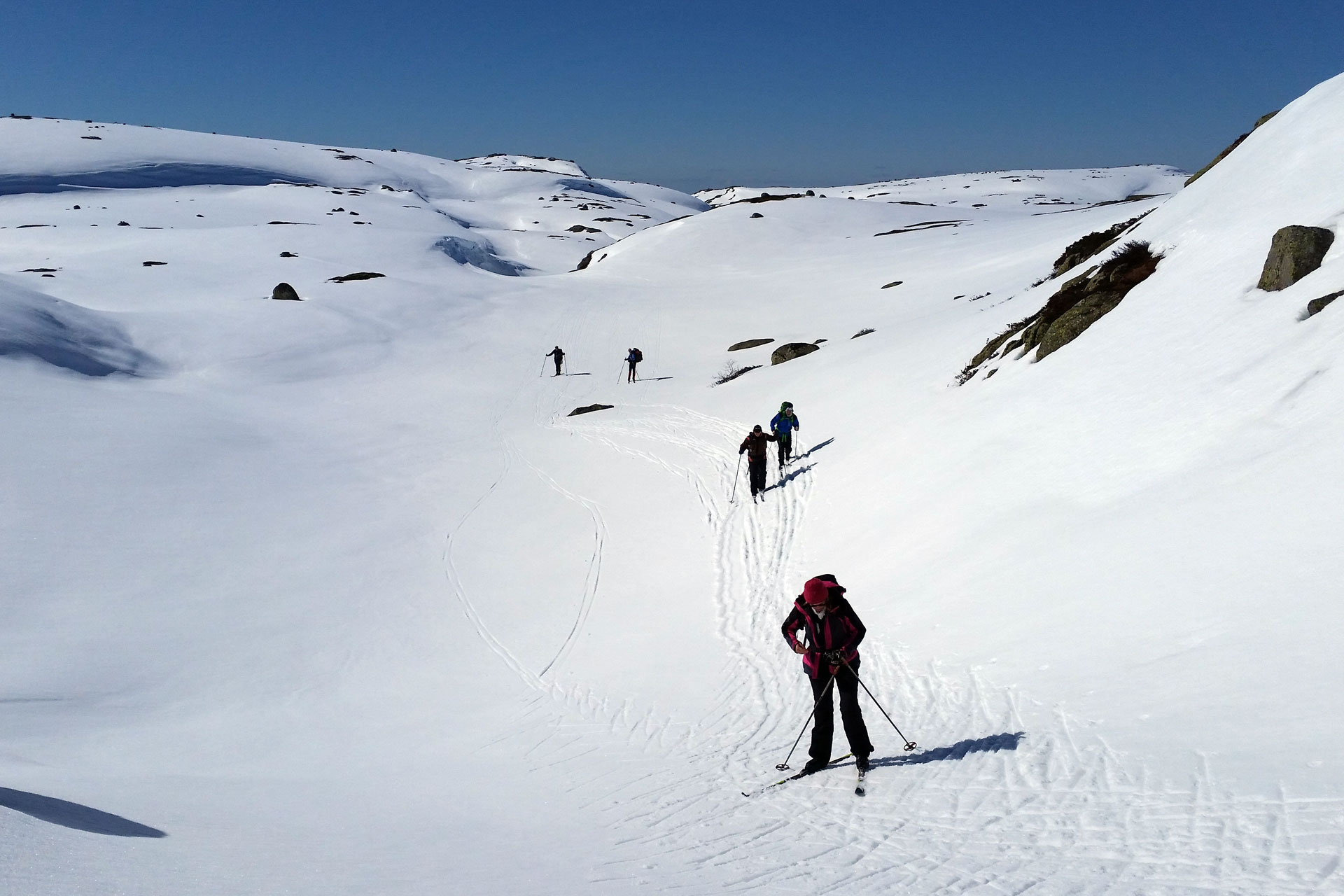 Turløyper
